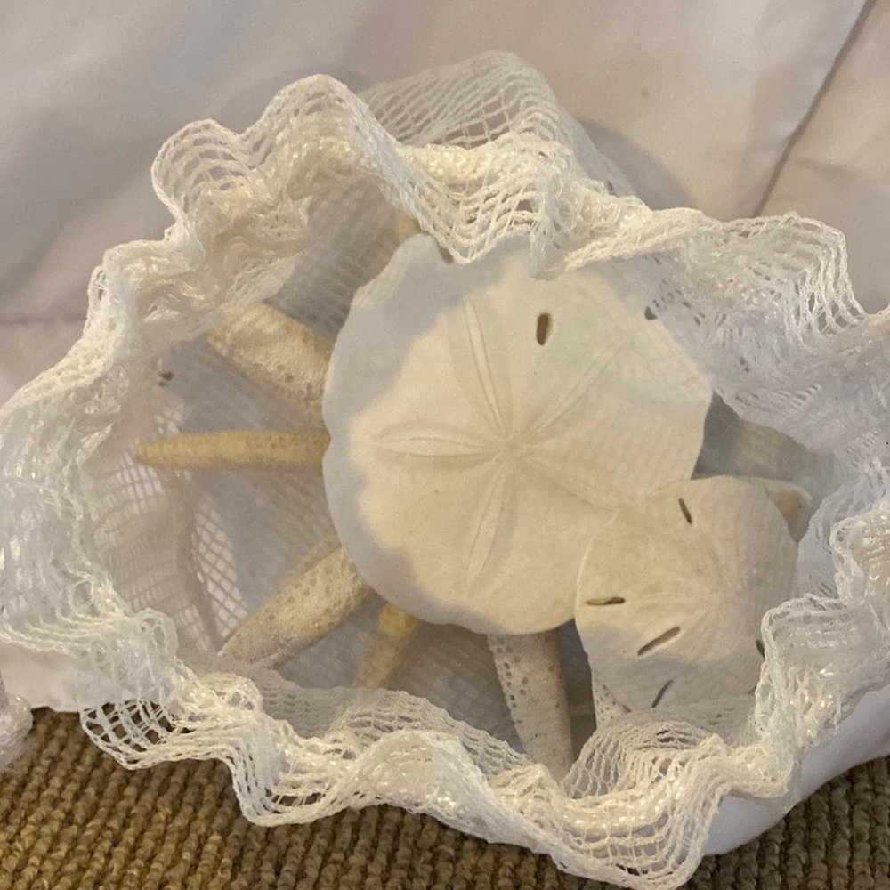 Beach decor (sand dollars and starfish)